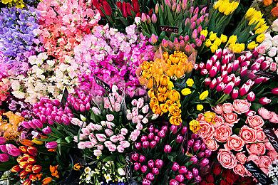 《马里奥赛车：世界》直面会视频 新赛道、服装和物品